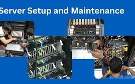 Server Setup & Maintenance